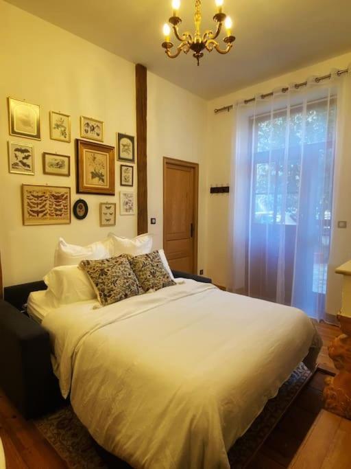 Cocon Cosy Dans La Ville Rose 圖盧茲 外观 照片